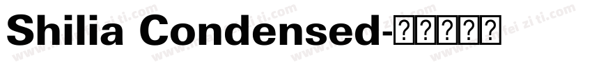 Shilia Condensed字体转换